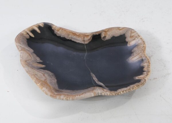 Plate petrified wood 54109