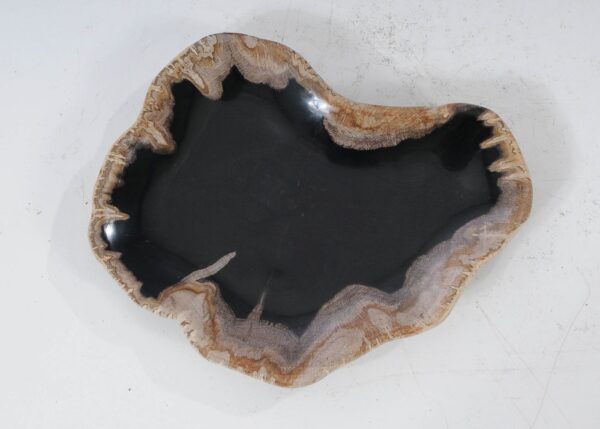 Plate petrified wood 54110