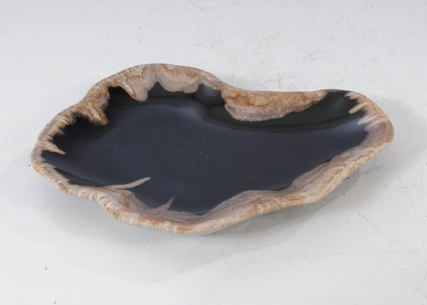 Plate petrified wood 54110