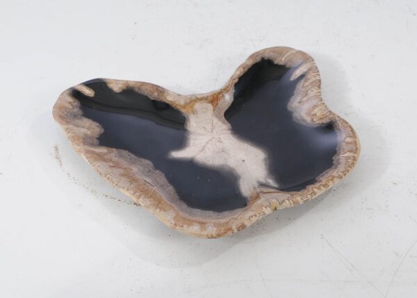 Plate petrified wood 54111