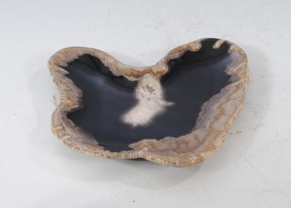 Plate petrified wood 54112