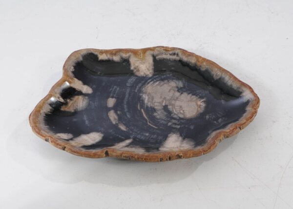 Plate petrified wood 54114