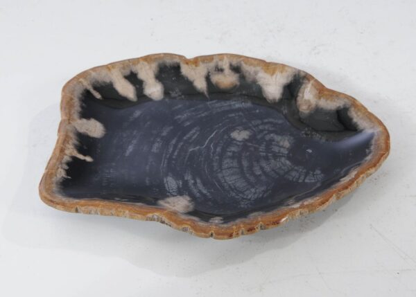 Plate petrified wood 54115