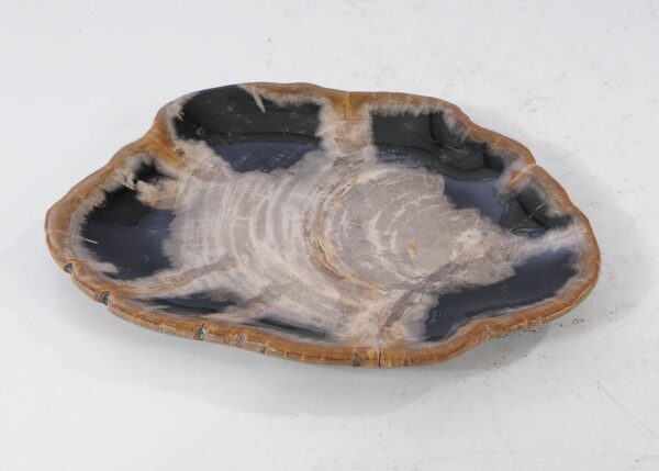 Plate petrified wood 54116