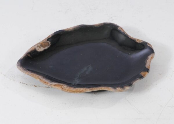 Plate petrified wood 54118