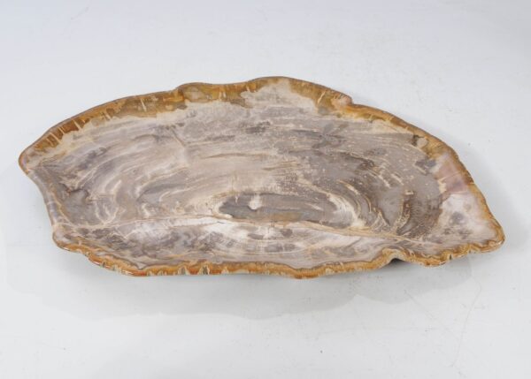 Plate petrified wood 54125