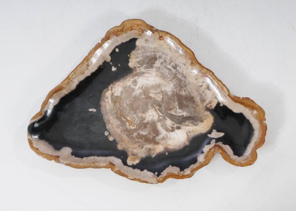 Plate petrified wood 54136