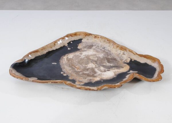 Plate petrified wood 54136