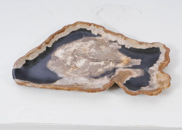 Plate petrified wood 54137