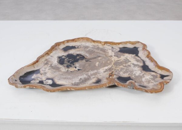 Plate petrified wood 54138