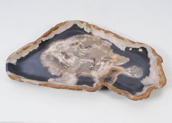 Plate petrified wood 54139