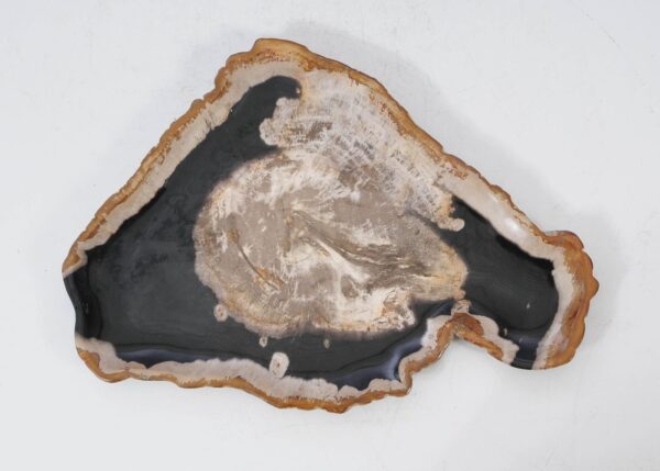 Plate petrified wood 54140