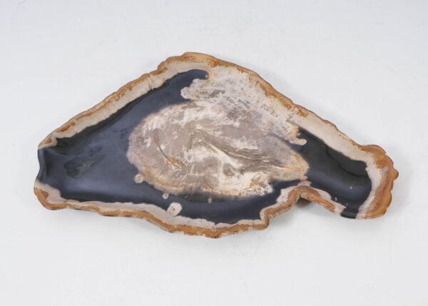 Plate petrified wood 54140