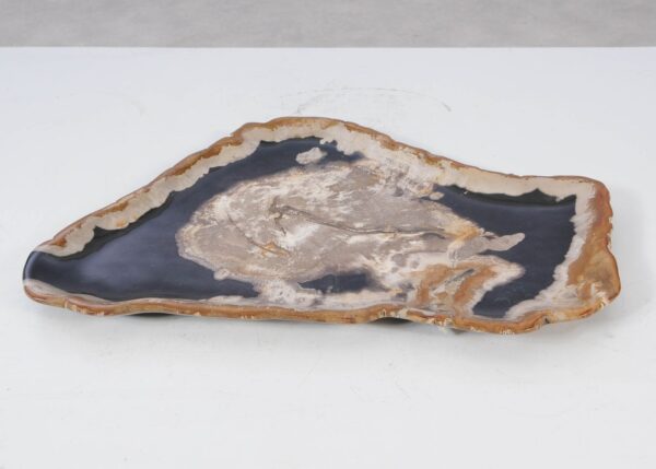 Plate petrified wood 54141