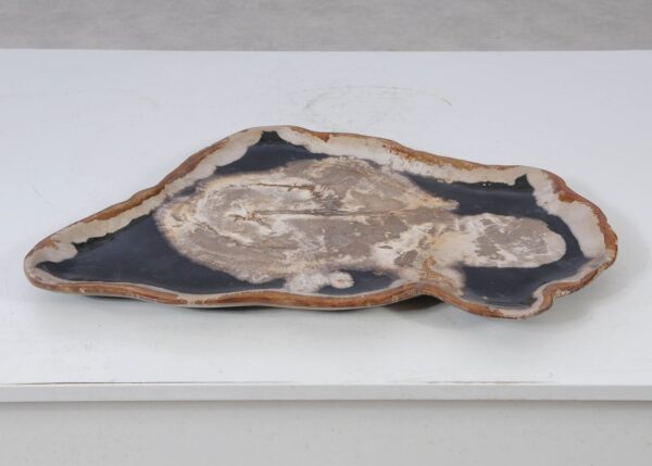 Plate petrified wood 54145