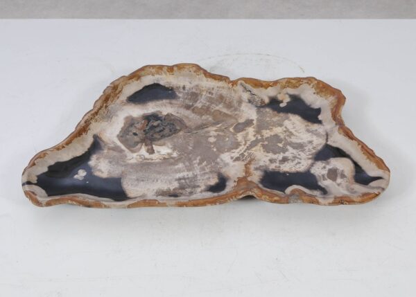 Plate petrified wood 54146