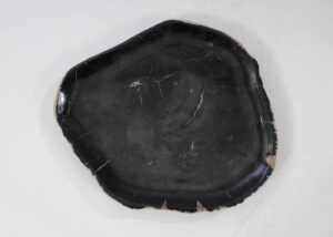 Plate petrified wood 54148