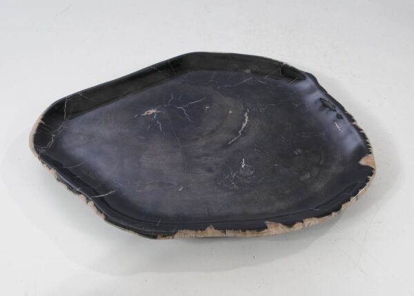 Plate petrified wood 54148