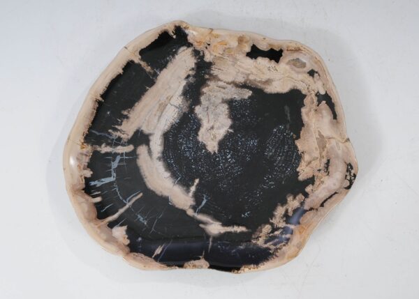 Plate petrified wood 54149