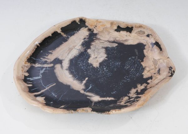 Plate petrified wood 54149