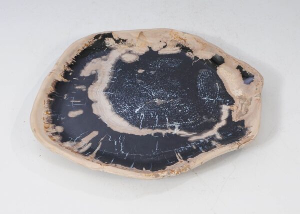 Plate petrified wood 54151