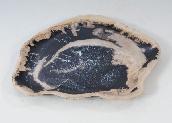 Plate petrified wood 54152