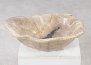 Bowl petrified wood 54263