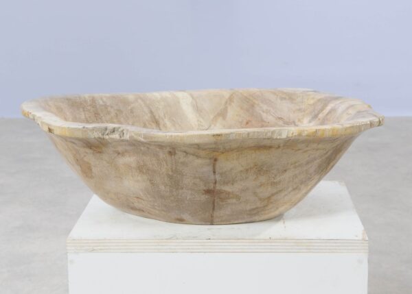 Bowl petrified wood 54263