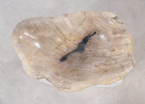 Bowl petrified wood 54263