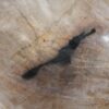 Bowl petrified wood 54263