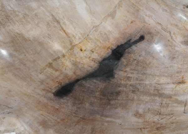 Bowl petrified wood 54263