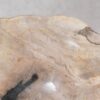 Bowl petrified wood 54263