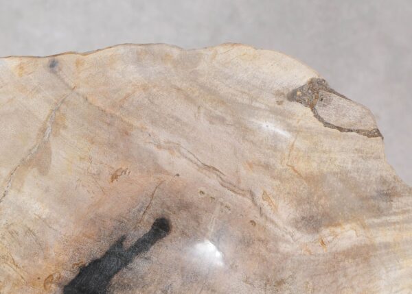 Bowl petrified wood 54263