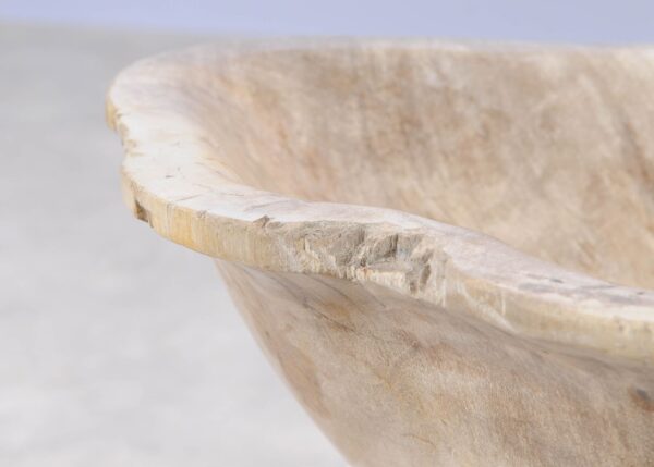 Bowl petrified wood 54263