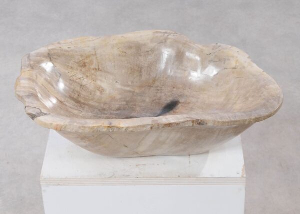 Bowl petrified wood 54263