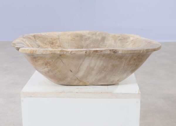 Bowl petrified wood 54263