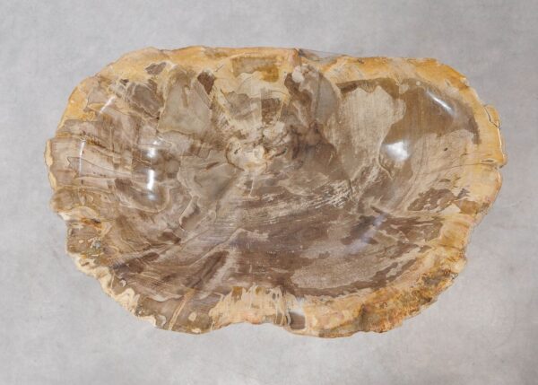 Bowl petrified wood 54264