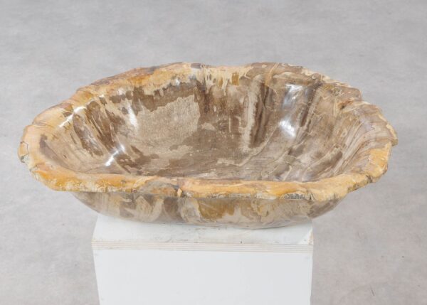 Bowl petrified wood 54264