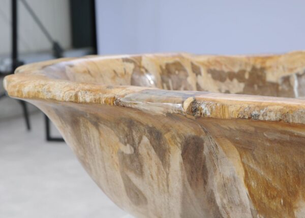 Bowl petrified wood 54264