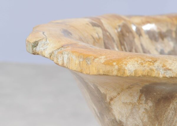 Bowl petrified wood 54264