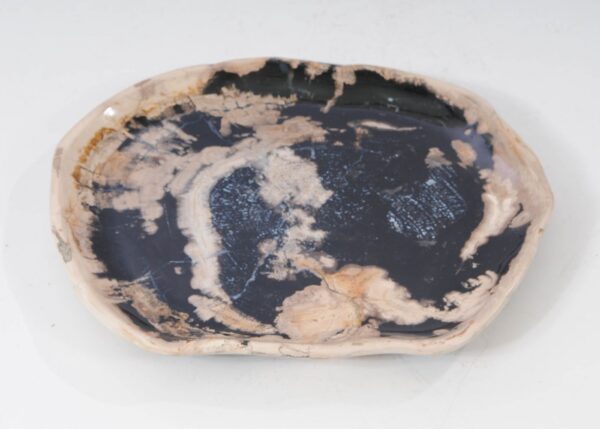 Plate petrified wood 54269