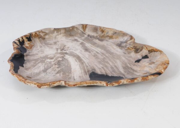 Plate petrified wood 54271