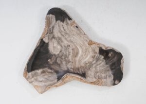 Plate petrified wood 54272