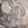 Plate petrified wood 54272