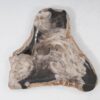 Plate petrified wood 54273