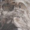 Plate petrified wood 54273