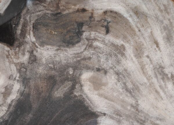 Plate petrified wood 54273