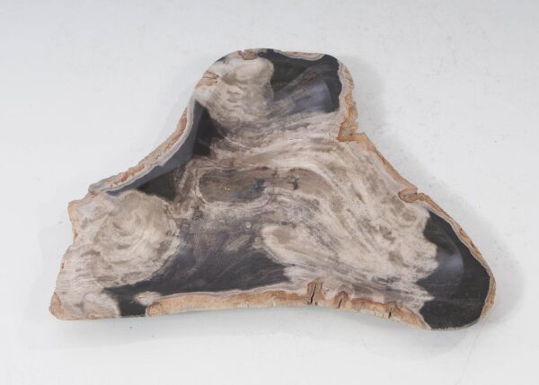 Plate petrified wood 54273