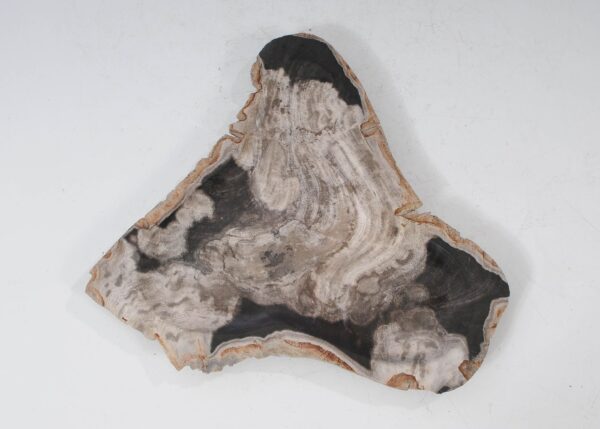 Plate petrified wood 54274