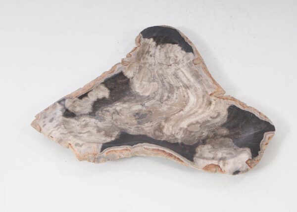 Plate petrified wood 54274